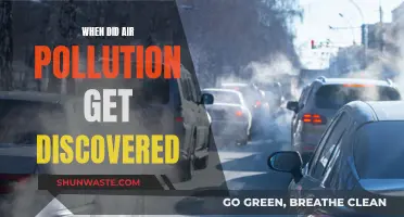 Air Pollution's Discovery: A Historical Perspective
