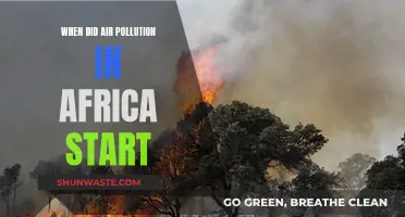 Air Pollution's African History: When Did It Start?