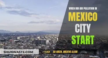 Mexico City's Air Pollution: A Historical Crisis