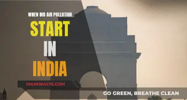 Air Pollution's History in India: A Troubled Past