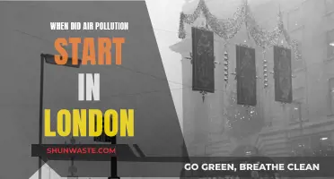 London's Historical Battle With Air Pollution