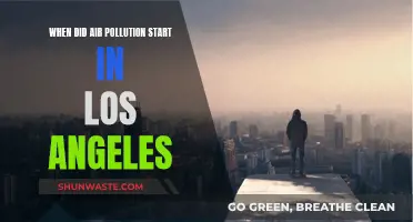 Air Pollution's Early Days in Los Angeles