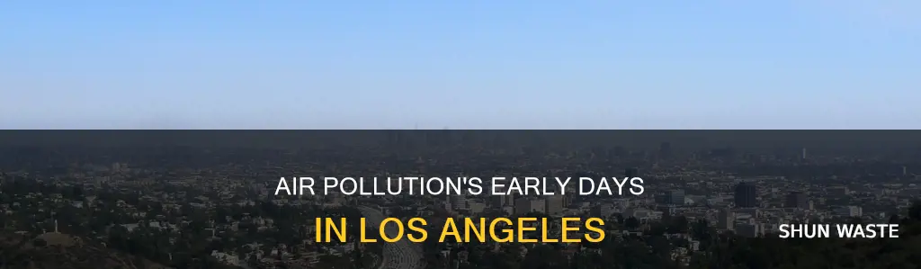 when did air pollution start in los angeles