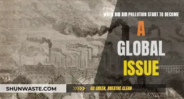 Air Pollution's Global Concern: A Historical Perspective
