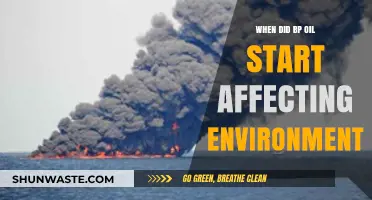 BP Oil's Environmental Impact: Tracing the Start of Ecological Damage