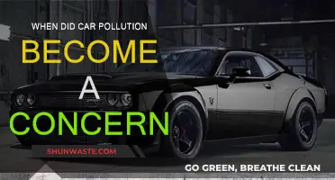 Car Pollution: A Historical Concern for Our Planet