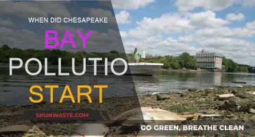The Chesapeake Bay Pollution: A Historical Overview