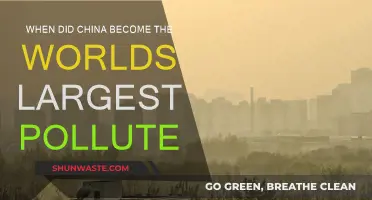 China's Rise as the World's Top Polluter