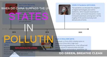 China's Pollution Surge: Surpassing the US