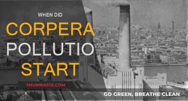 The Dark History of Corporate Pollution: When Did It Begin?