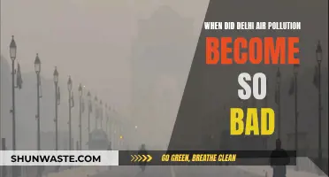 Delhi's Air Pollution: A Historical Perspective