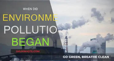 The Start of Environmental Pollution: A Historical Perspective