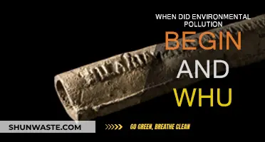 The Start of Environmental Pollution: A Historical Perspective