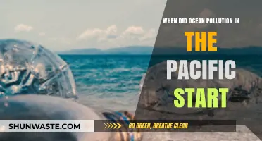 The Pacific Ocean's Pollution: A Historical Perspective