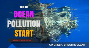 Ocean Pollution: A Historical Perspective