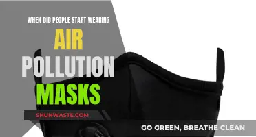 Air Pollution Masks: A Recent History of Respiratory Protection