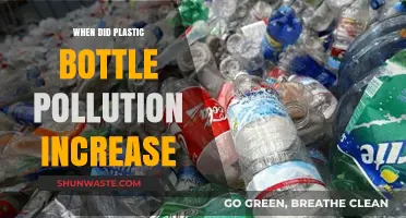 The Rise of Plastic Bottle Pollution: A Historical Perspective