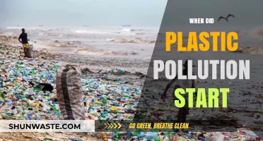 The Dark History of Plastic Pollution