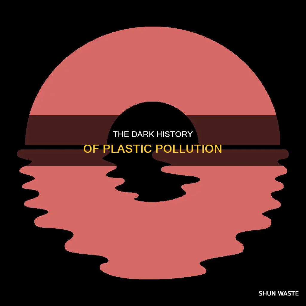 when did plastic pollution start