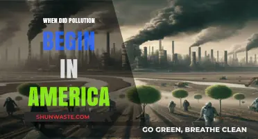 The Pollution History of America: When Did It Begin?