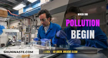 The Start of Pollution: A Historical Perspective