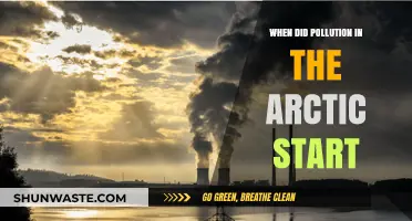 Arctic Pollution: A Historical Perspective