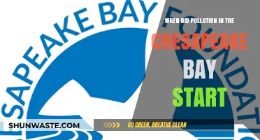 The Chesapeake Bay Pollution: A Historical Perspective