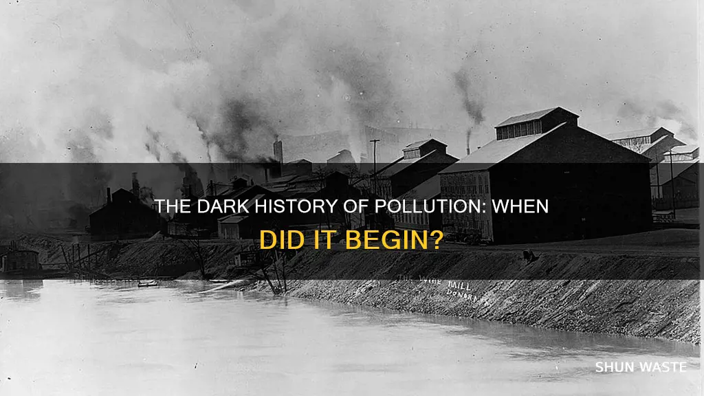 when did pollution start getting bad