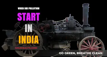 The Dark History of Pollution in India