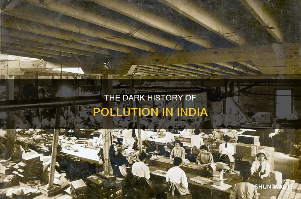 when did pollution start in india