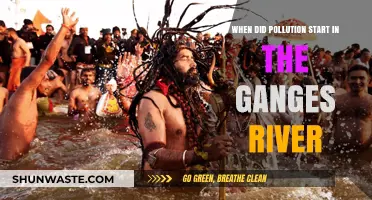 Ganges River Pollution: A Historical Perspective