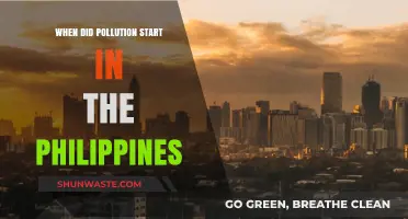 The Philippines' Pollution Problem: A Historical Perspective