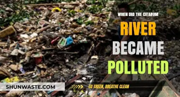 The Citarum River's Pollution History: A Timeline of Events