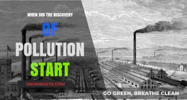 The First Signs of Pollution: An Environmental History
