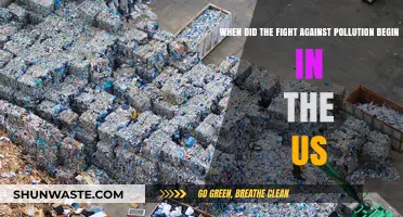 The Fight Against Pollution: A Historical US Perspective