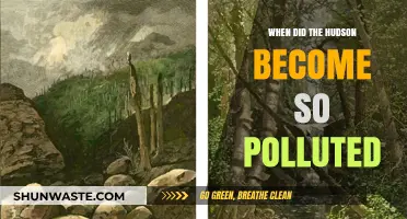 The Hudson's Pollution History: A Timeline of Environmental Degradation