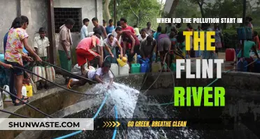 Flint River Pollution: A Historical Perspective