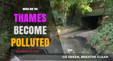 The Thames Pollution Crisis: A Historical Perspective