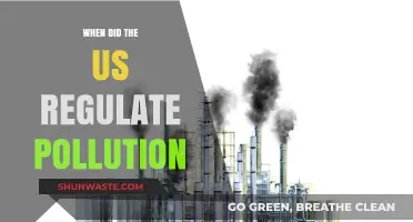 The Clean Air Act: US Pollution Regulation Landmark