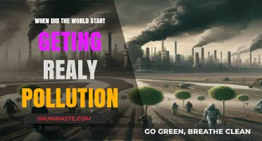 The World's Pollution Problem: When Did It Start?