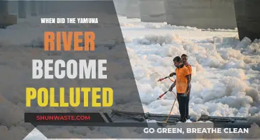Yamuna River: A History of Pollution