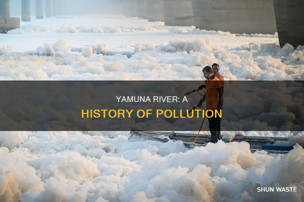 when did the yamuna river become polluted