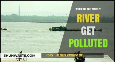 Yangtze River Pollution: A Historical Perspective