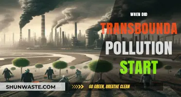 Transboundary Pollution's First Steps: A Historical Perspective