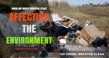 Waste Disposal's Environmental Impact: Tracing the Origins of a Global Crisis