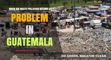 Waste Pollution's Arrival in Guatemala: A Historical Perspective