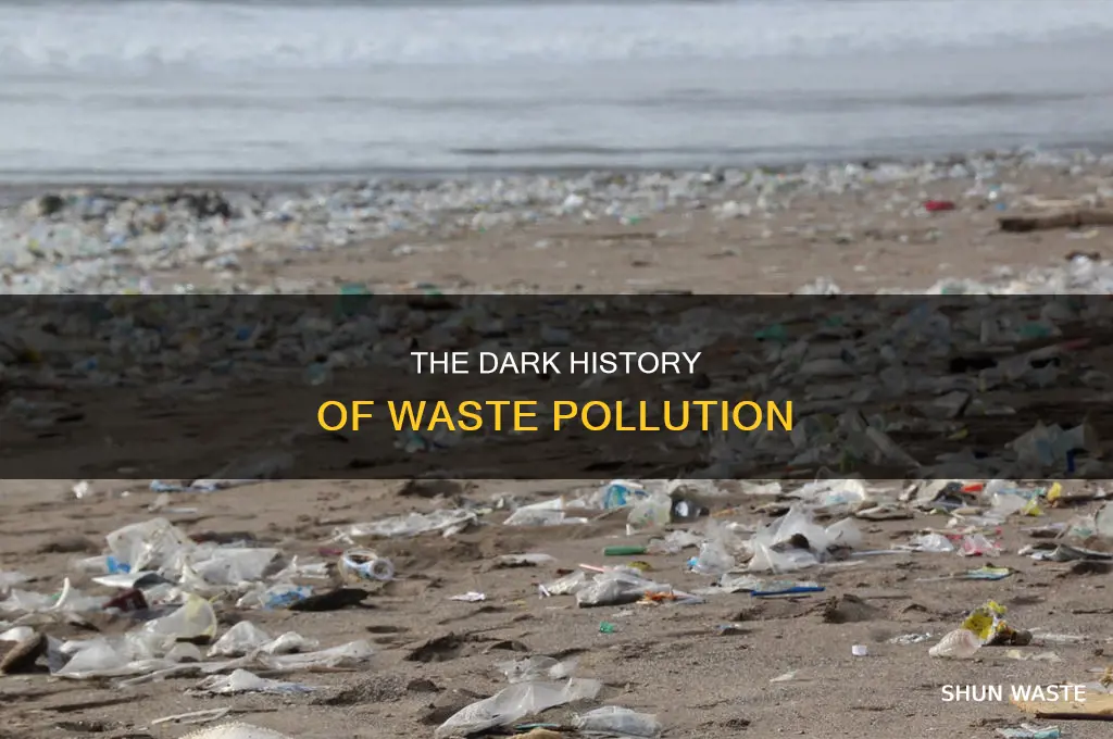 when did waste pollution start