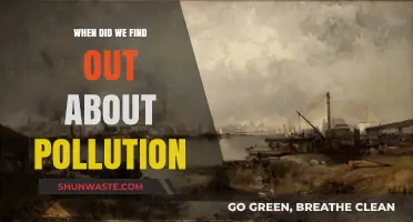 The Discovery of Pollution: When Did We First Learn?