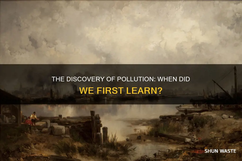 when did we find out about pollution