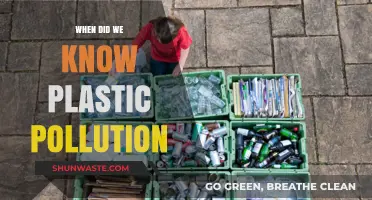 Plastic Pollution: A Known Issue Since the 1960s